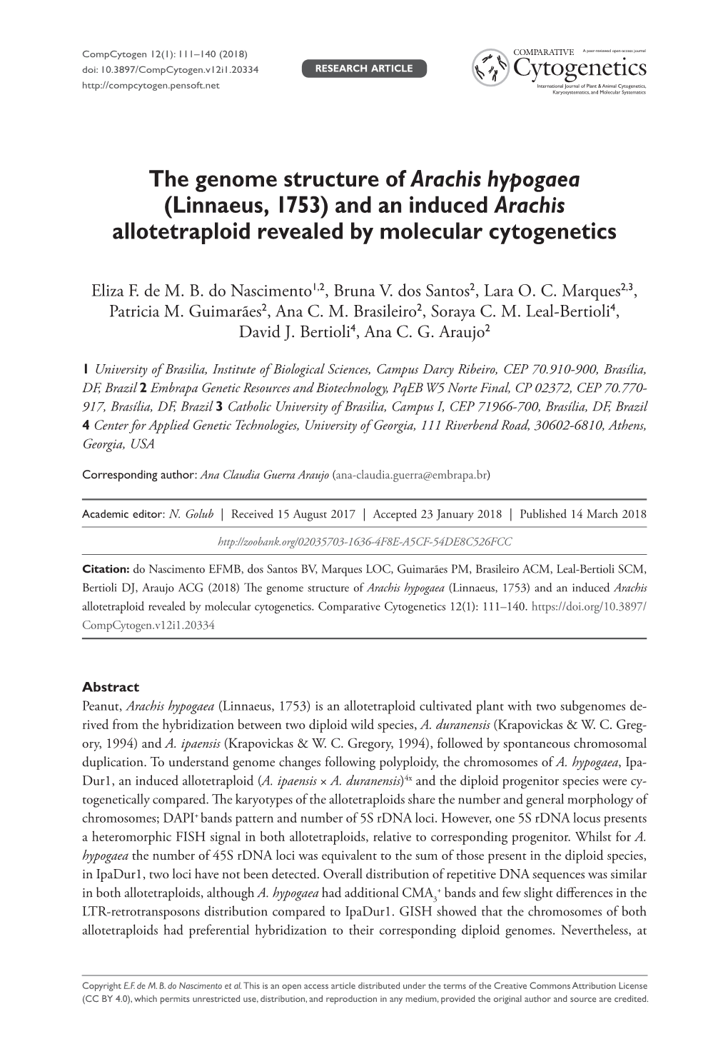 The Genome Structure of Arachis Hypogaea (Linnaeus, 1753) and an Induced Arachis Allotetraploid Revealed by Molecular Cytogenetics