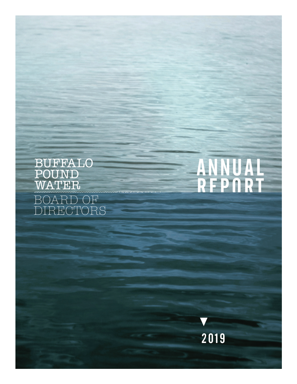 2019 Annual Report