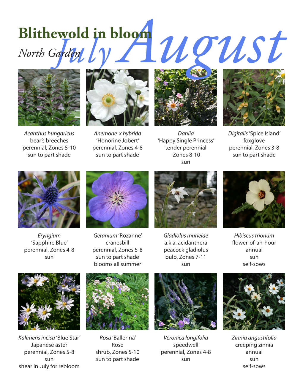 Blithewold in Bloom North Gardenjuly August