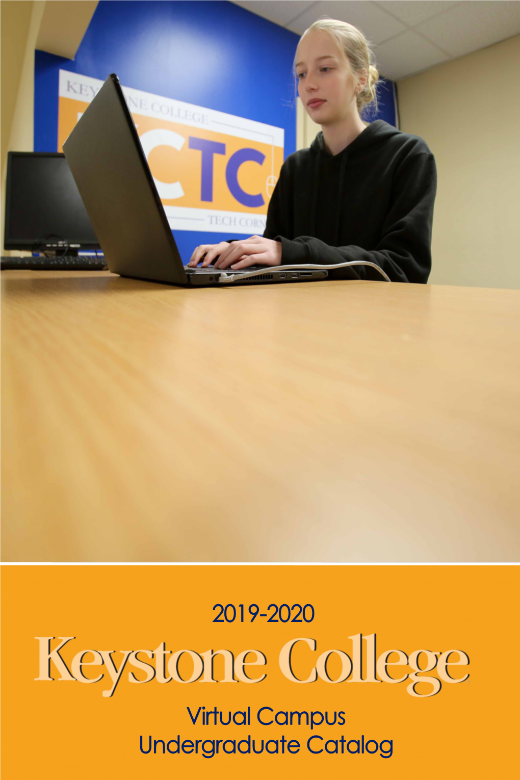 2019-2020 Virtual Campus Undergraduate