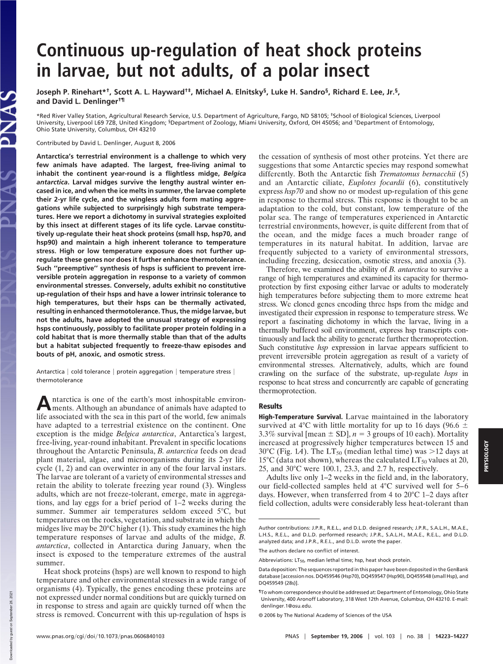 Continuous Up-Regulation of Heat Shock Proteins in Larvae, but Not Adults, of a Polar Insect