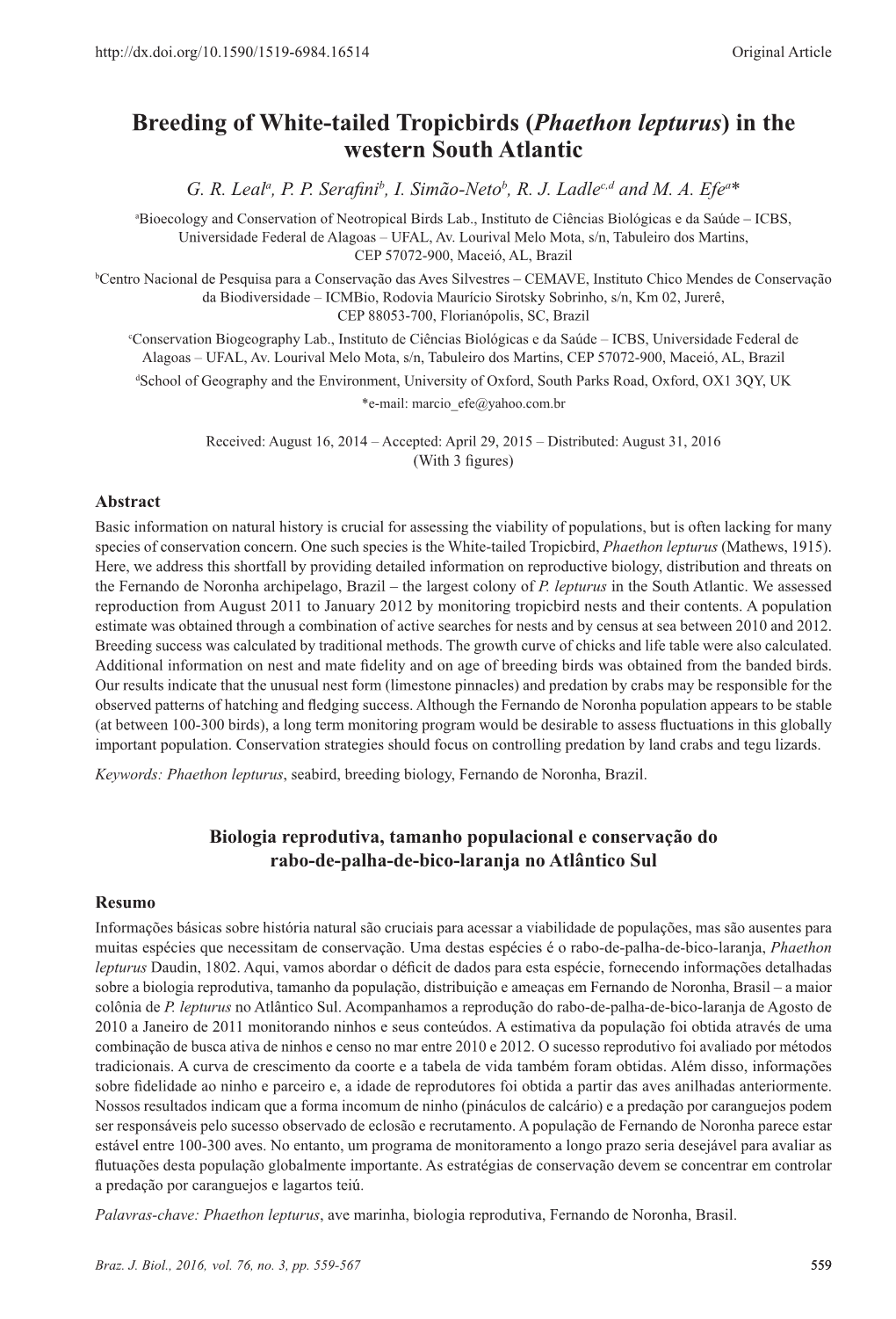 Breeding of White-Tailed Tropicbirds (Phaethon Lepturus) in the Western South Atlantic G