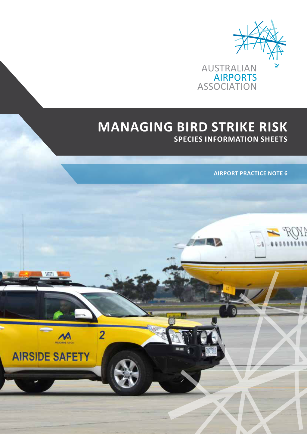 Managing Bird Strike Risk Species Information Sheets