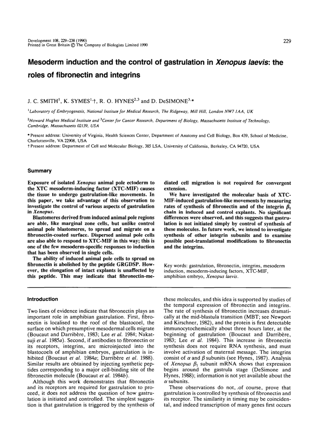 Mesoderm Induction and the Control of Gastrulation in Xenopus Laevis:The