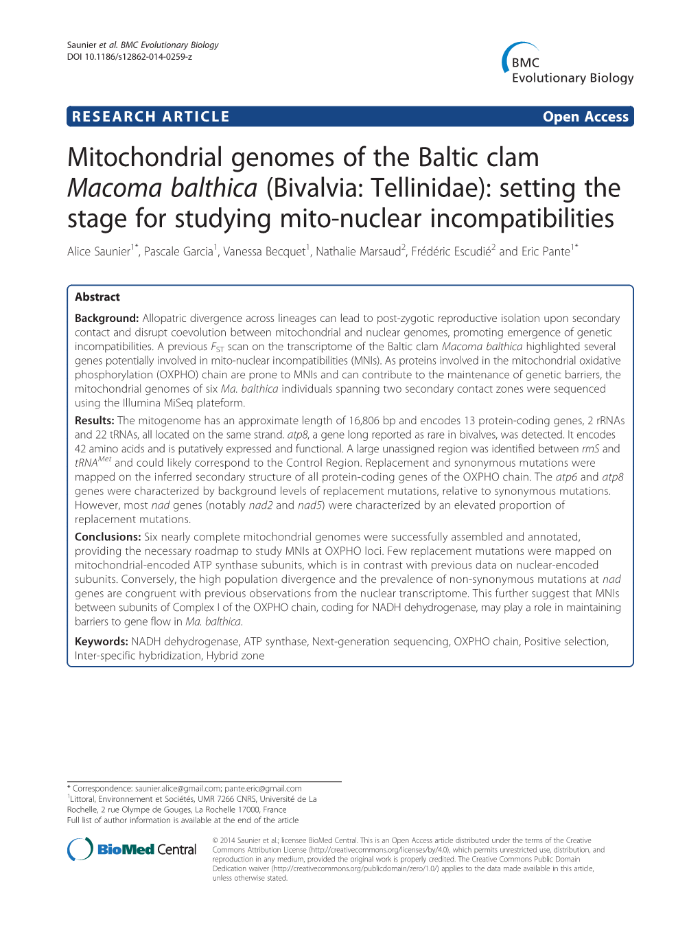 Mitochondrial Genomes of the Baltic Clam Macoma Balthica (Bivalvia