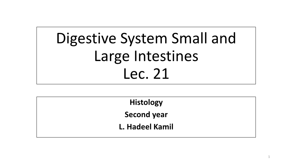 Digestive System Small and Large Intestines Lec. 21