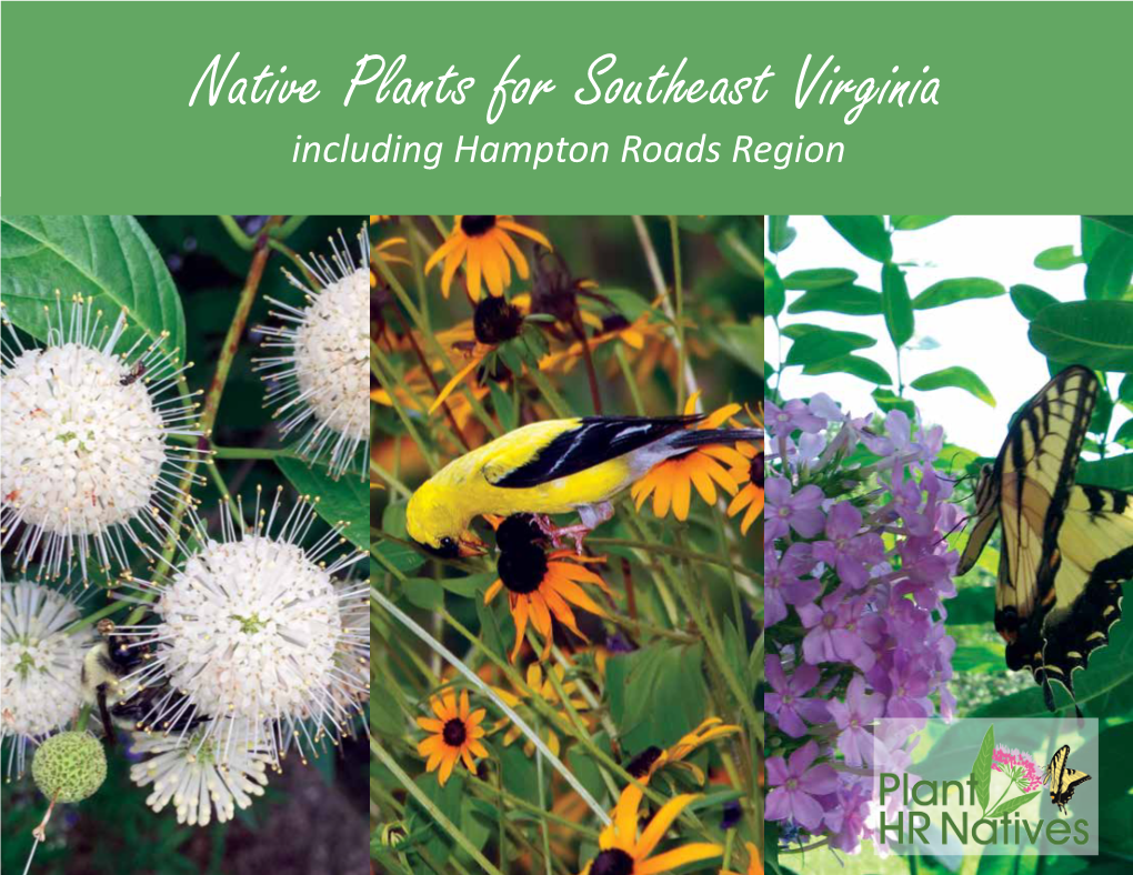 Native Plants for Southeast Virginia, Including Hampton Roads Region