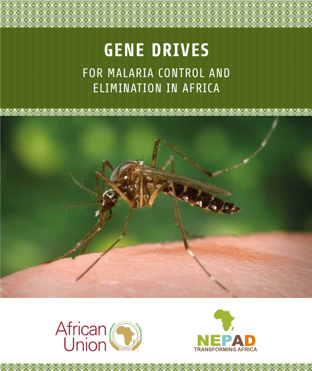 Gene Drives for Malaria Control and Elimination in Africa