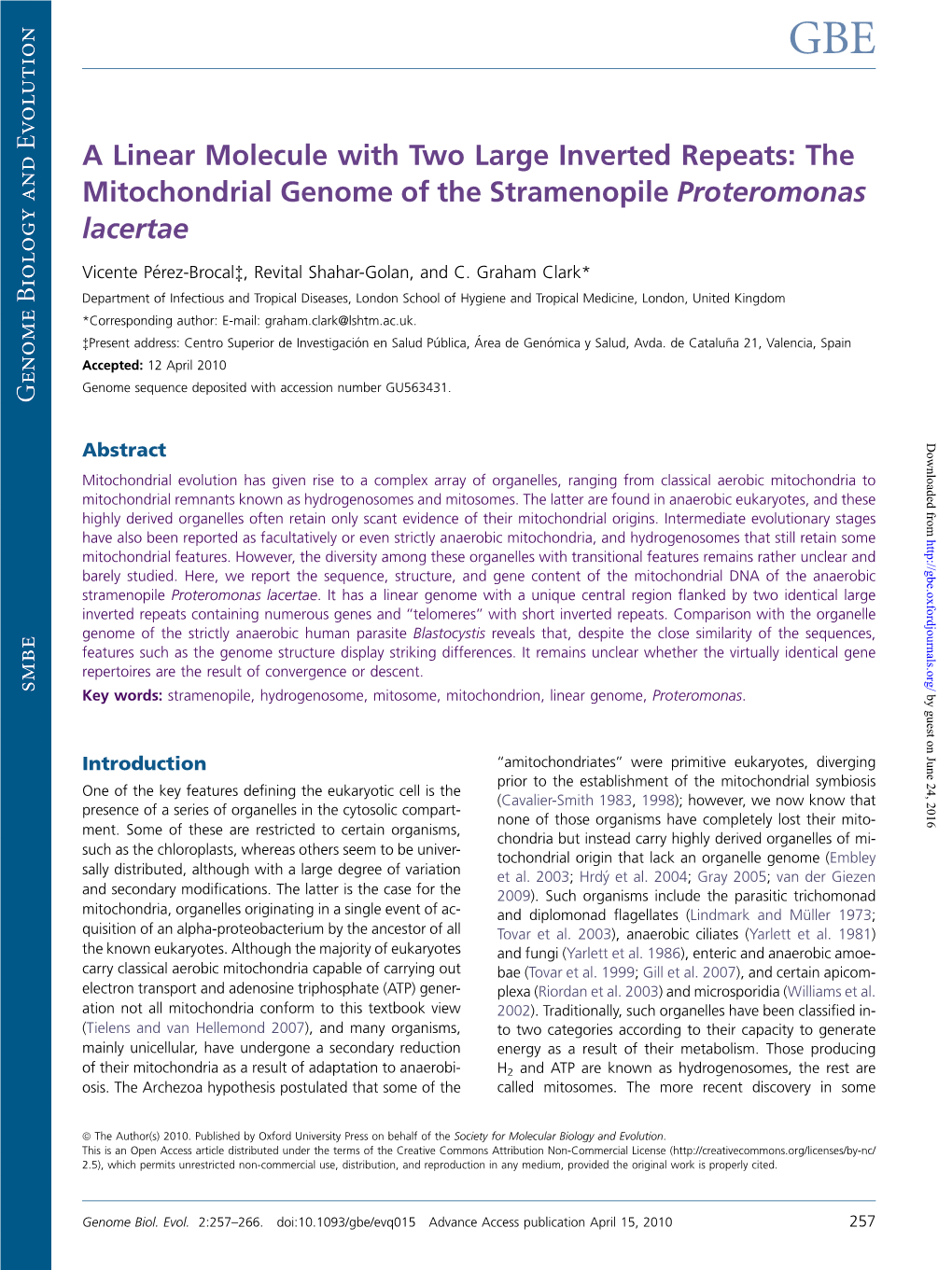 The Mitochondrial Genome of the Stramenopile Proteromonas Lacertae