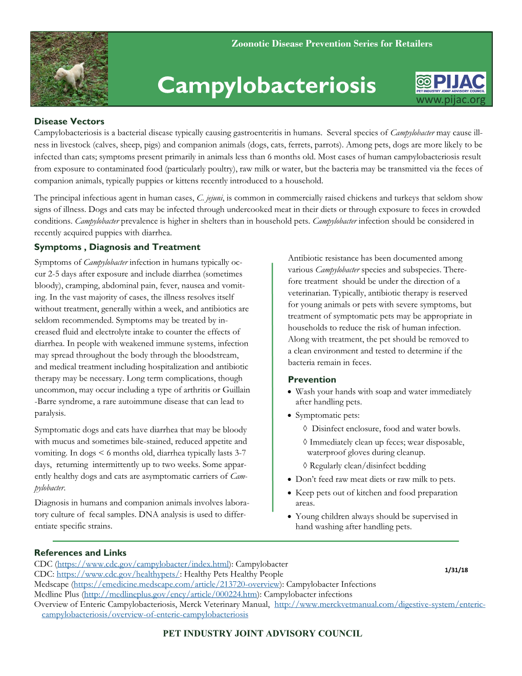 Campylobacteriosis