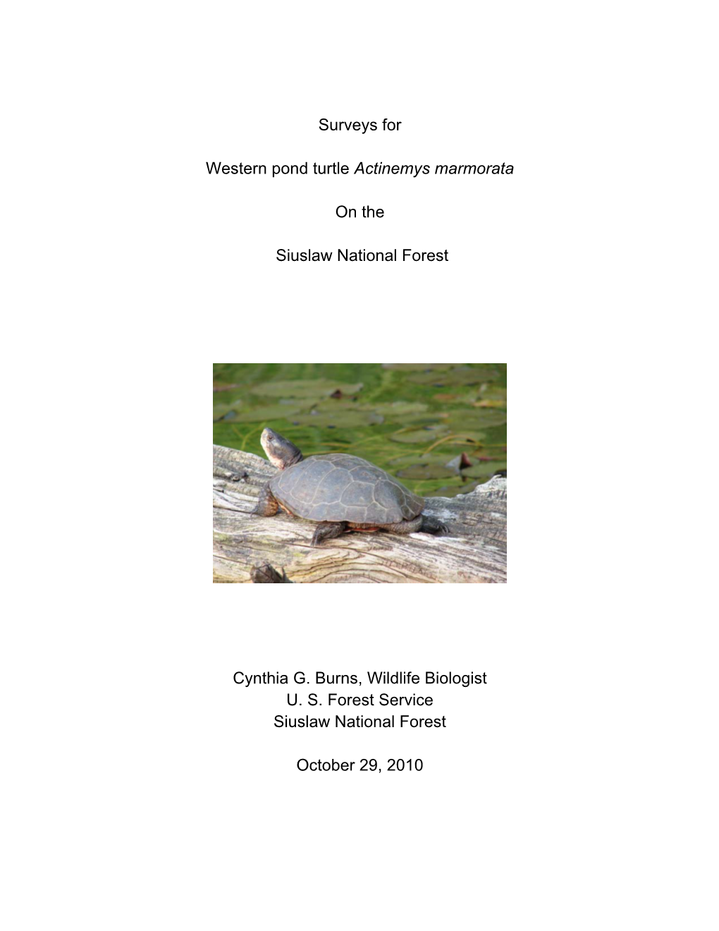 Surveys for Western Pond Turtle Actinemys Marmorata on The