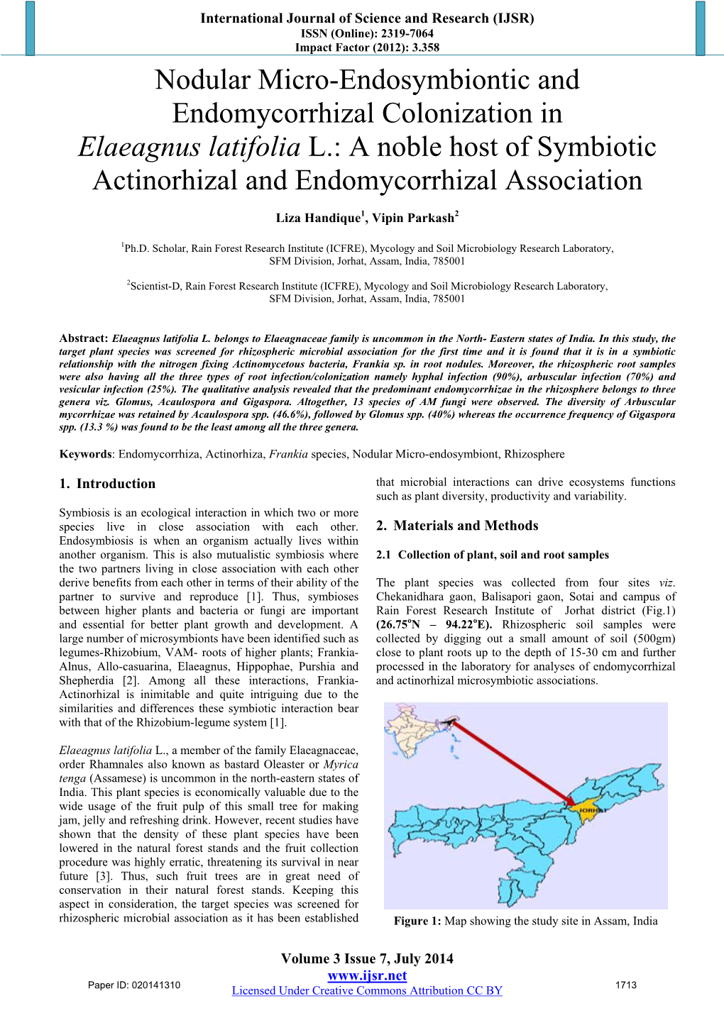 Elaeagnus Latifolia L.: a Noble Host of Symbiotic Actinorhizal and Endomycorrhizal Association