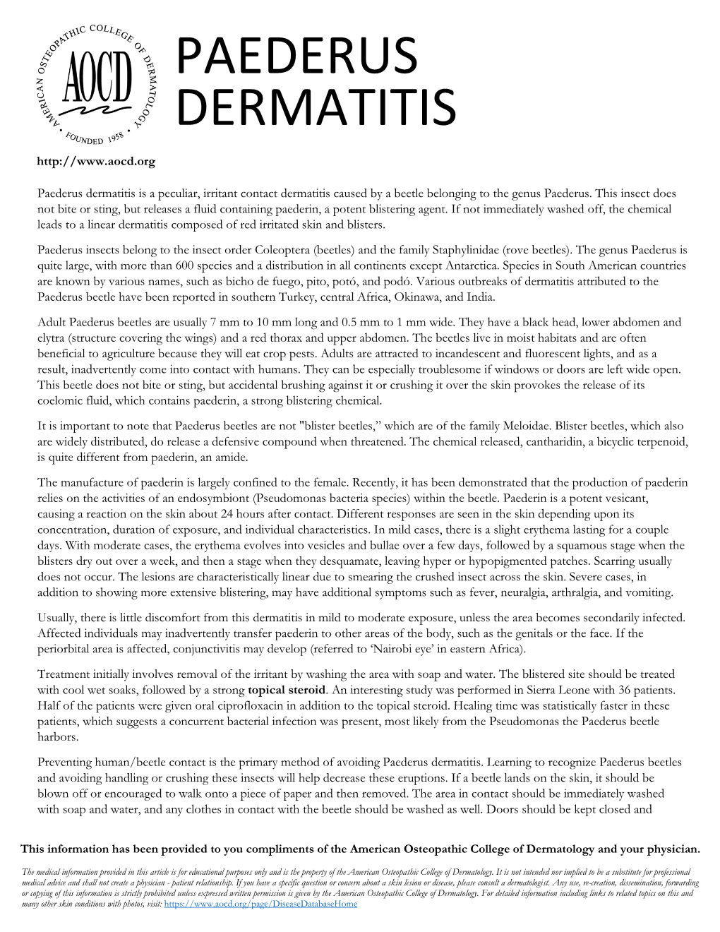 Paederus Dermatitis