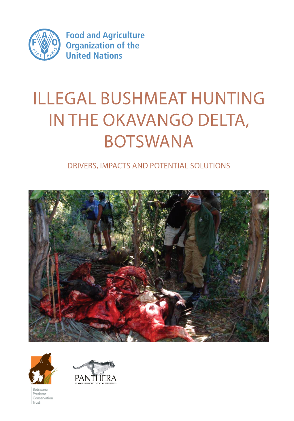 Illegal Bushmeat Hunting in the Okavango Delta, Botswana