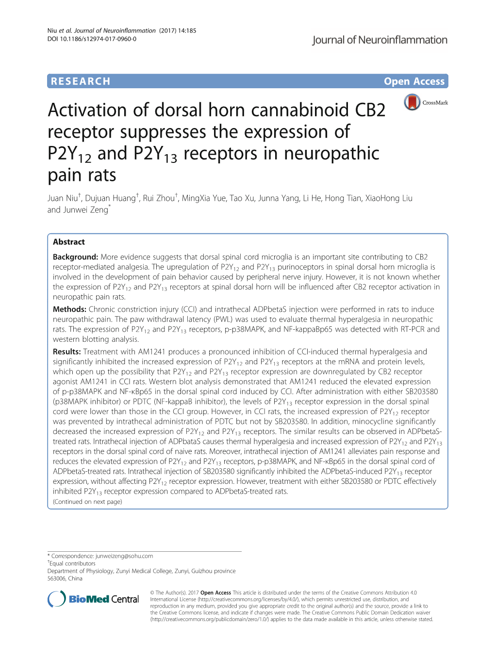 Activation of Dorsal Horn Cannabinoid CB2 Receptor Suppresses The