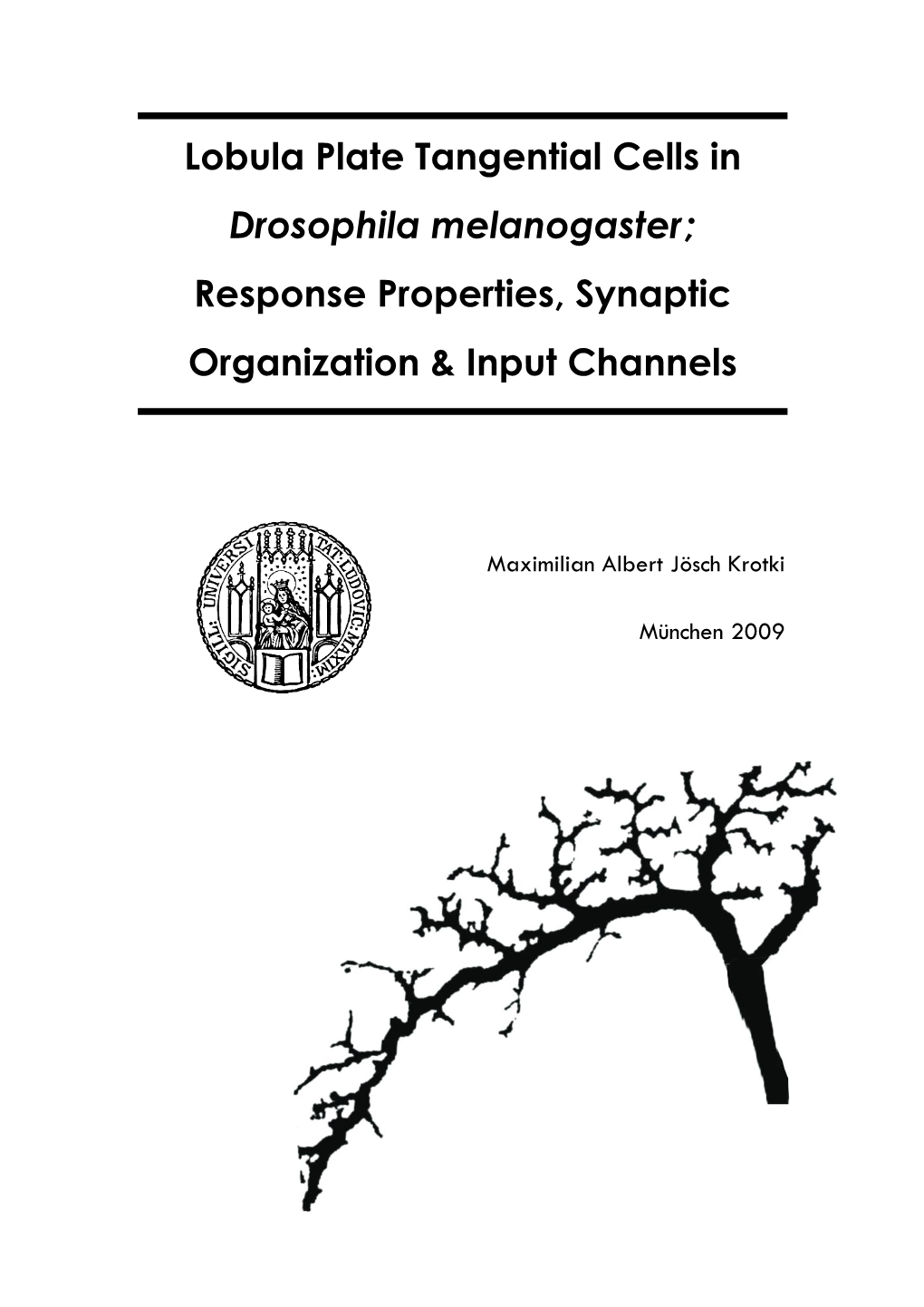 Lobula Plate Tangential Cells in Drosophila Melanogaster; Response Properties, Synaptic Organisation & Input Channels”