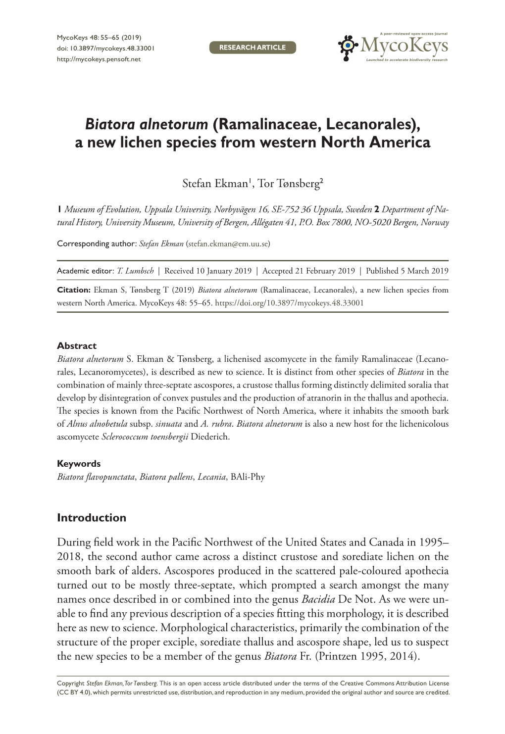 Biatora Alnetorum (Ramalinaceae, Lecanorales), a New Lichen Species from Western North America