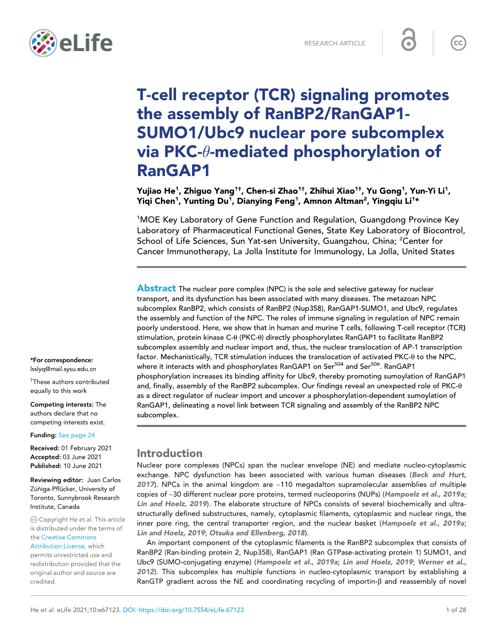 T-Cell Receptor (TCR) Signaling Promotes the Assembly of Ranbp2