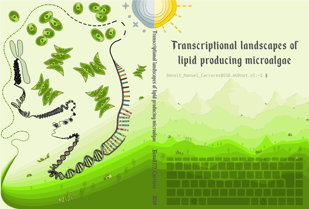 Transcriptional Landscapes of Lipid Producing Microalgae Benoît M