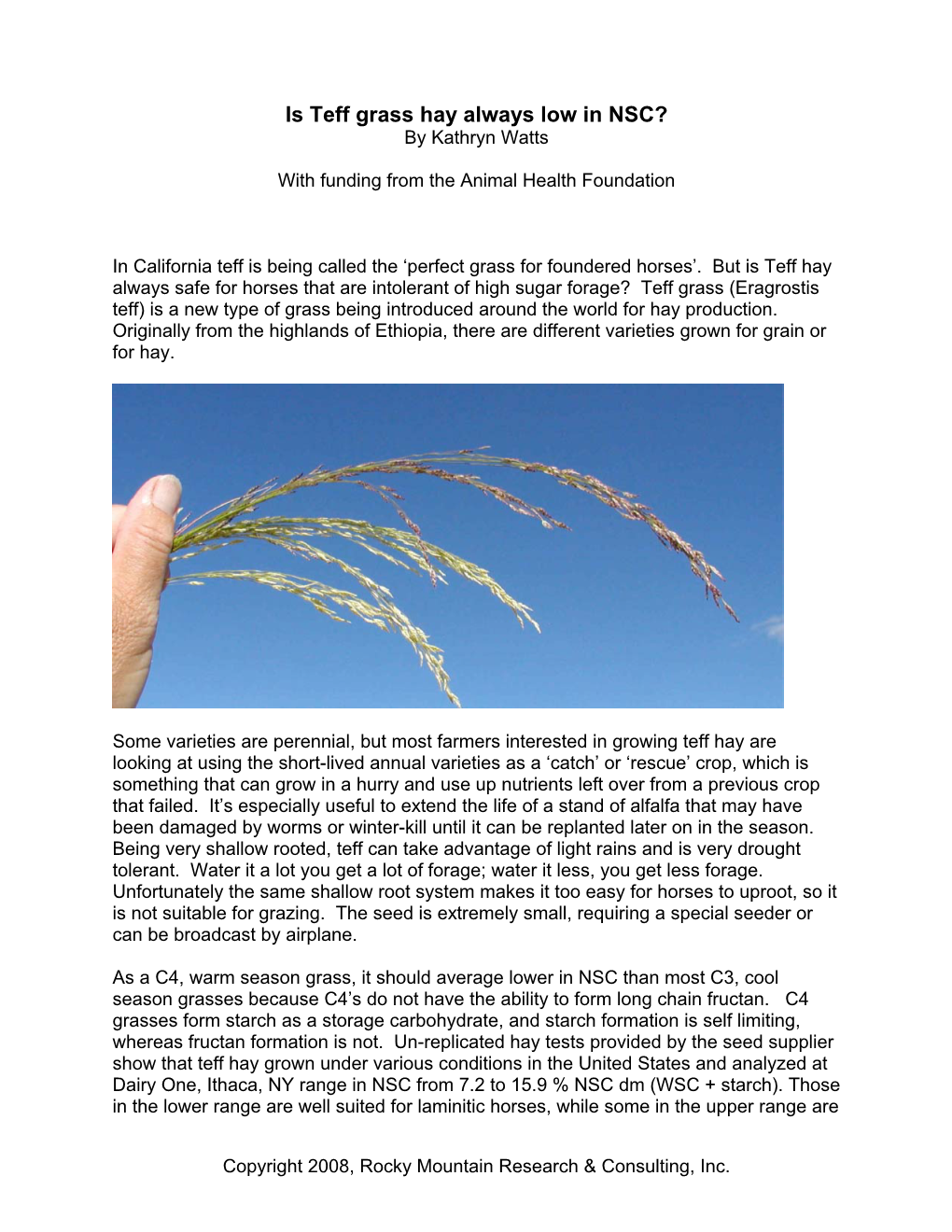 Is Teff Grass Hay Always Low in NSC? by Kathryn Watts