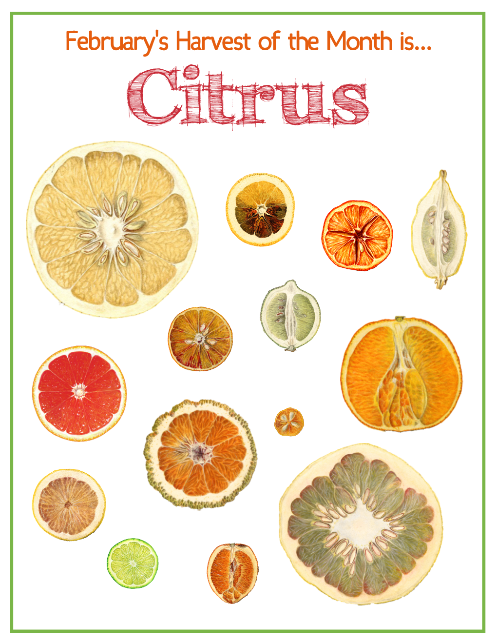 December HOTM Citrus