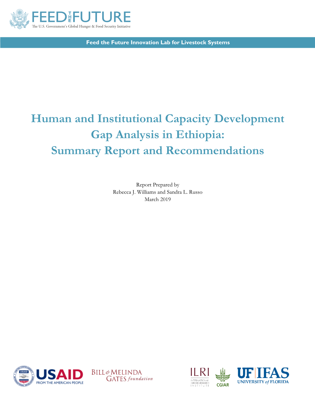 Human and Institutional Capacity Development Gap Analysis in Ethiopia: Summary Report and Recommendations