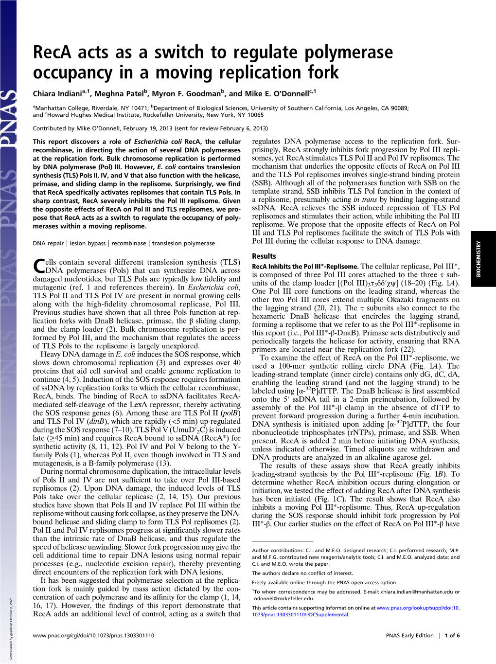 Reca Acts As a Switch to Regulate Polymerase Occupancy in a Moving Replication Fork