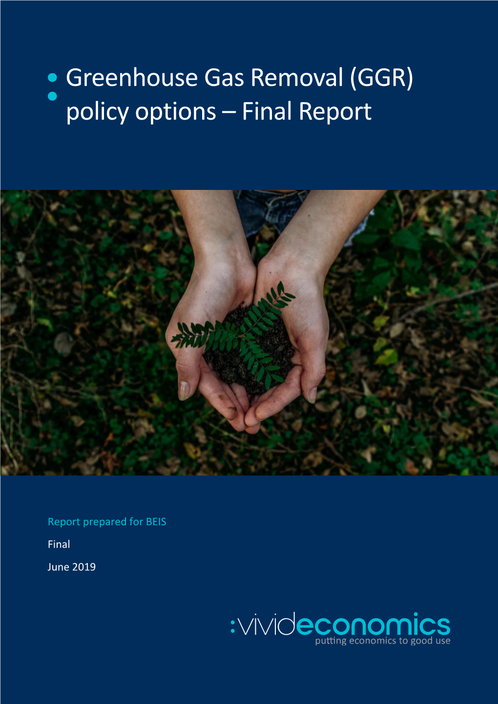 Greenhouse Gas Removal (GGR) Policy Options – Final Report