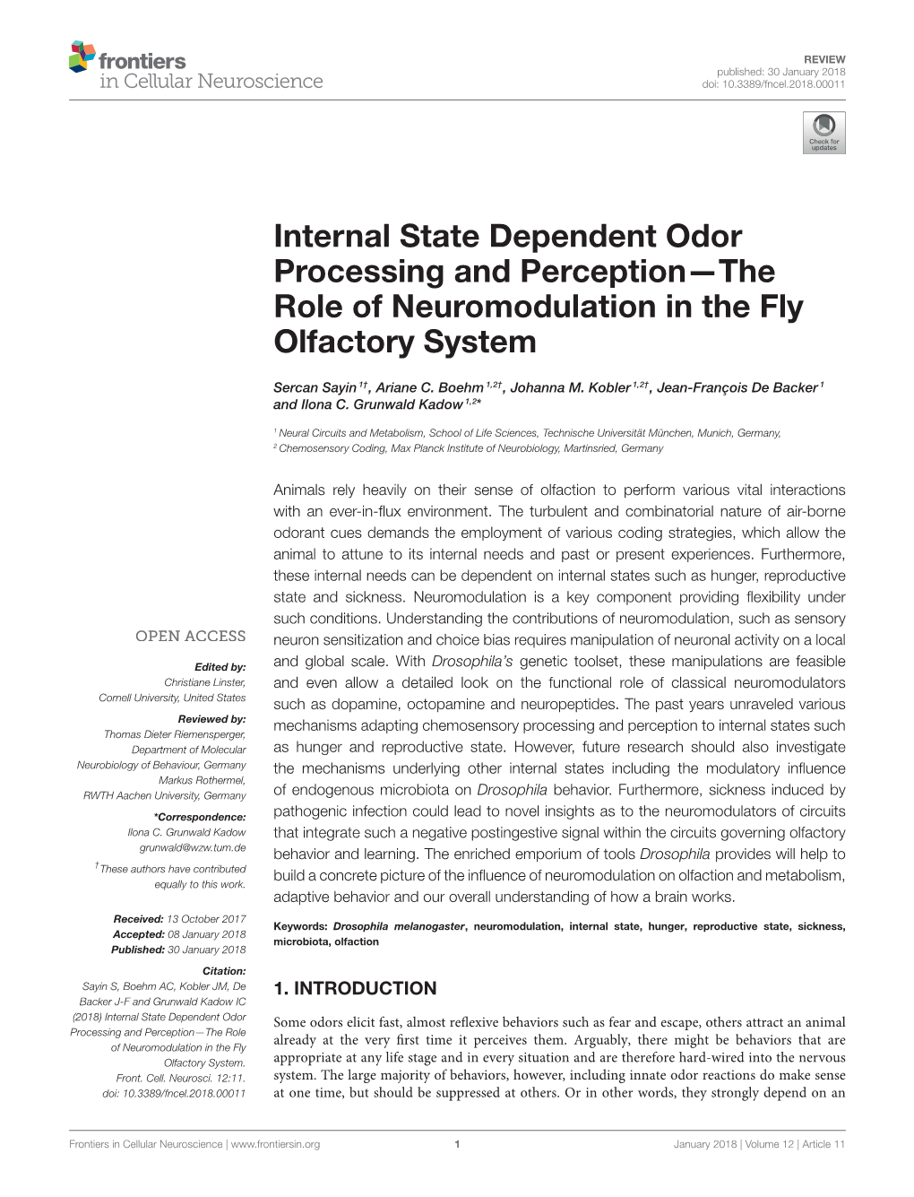 Internal State Dependent Odor Processing and Perception—The Role of Neuromodulation in the Fly Olfactory System
