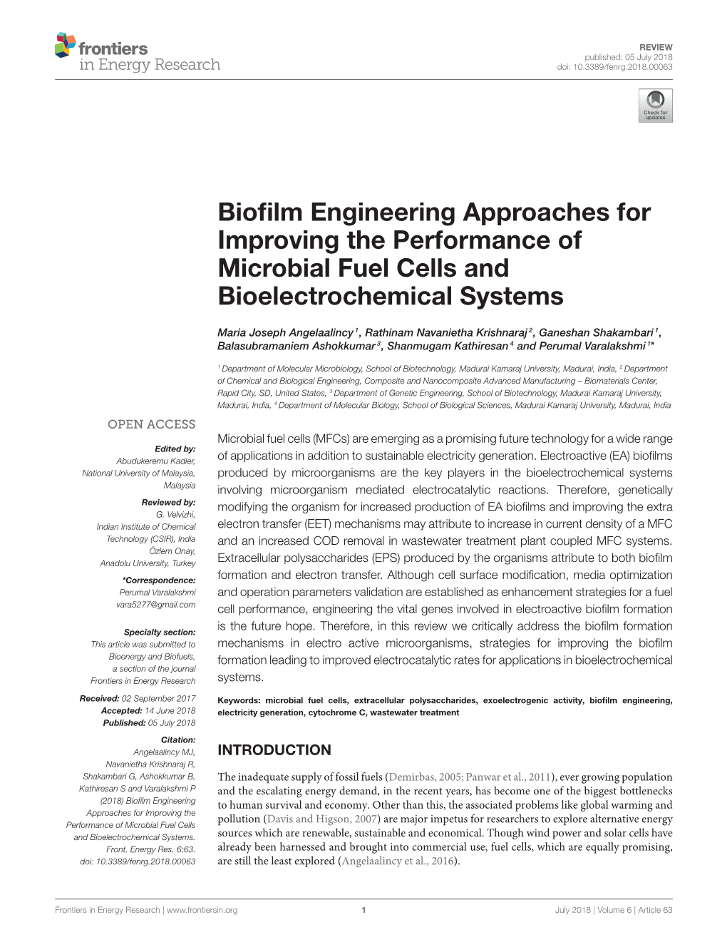 Biofilm Engineering Approaches for Improving the Performance Of