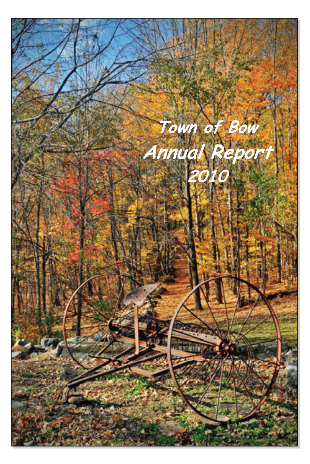 Annual Town Report 2010