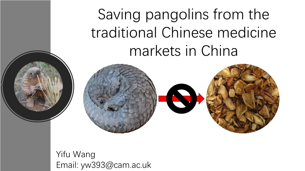 Saving Pangolins from the Traditional Chinese Medicine Markets in China