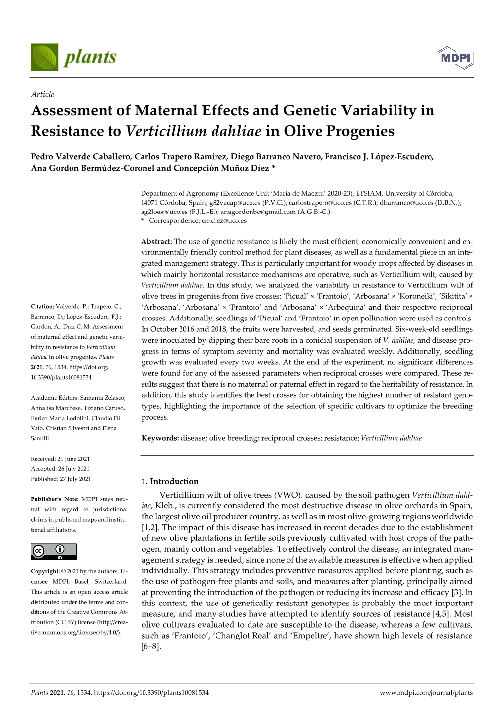 Assessment of Maternal Effects and Genetic Variability in Resistance to Verticillium Dahliae in Olive Progenies