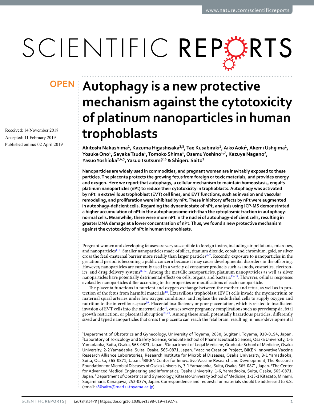 Autophagy Is a New Protective Mechanism Against the Cytotoxicity