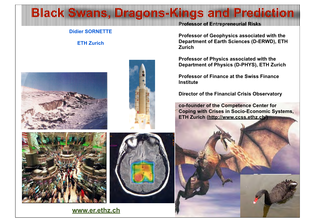 Black Swans, Dragons-Kings and Prediction