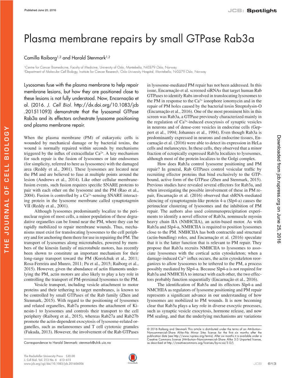 Plasma Membrane Repairs by Small Gtpase Rab3a