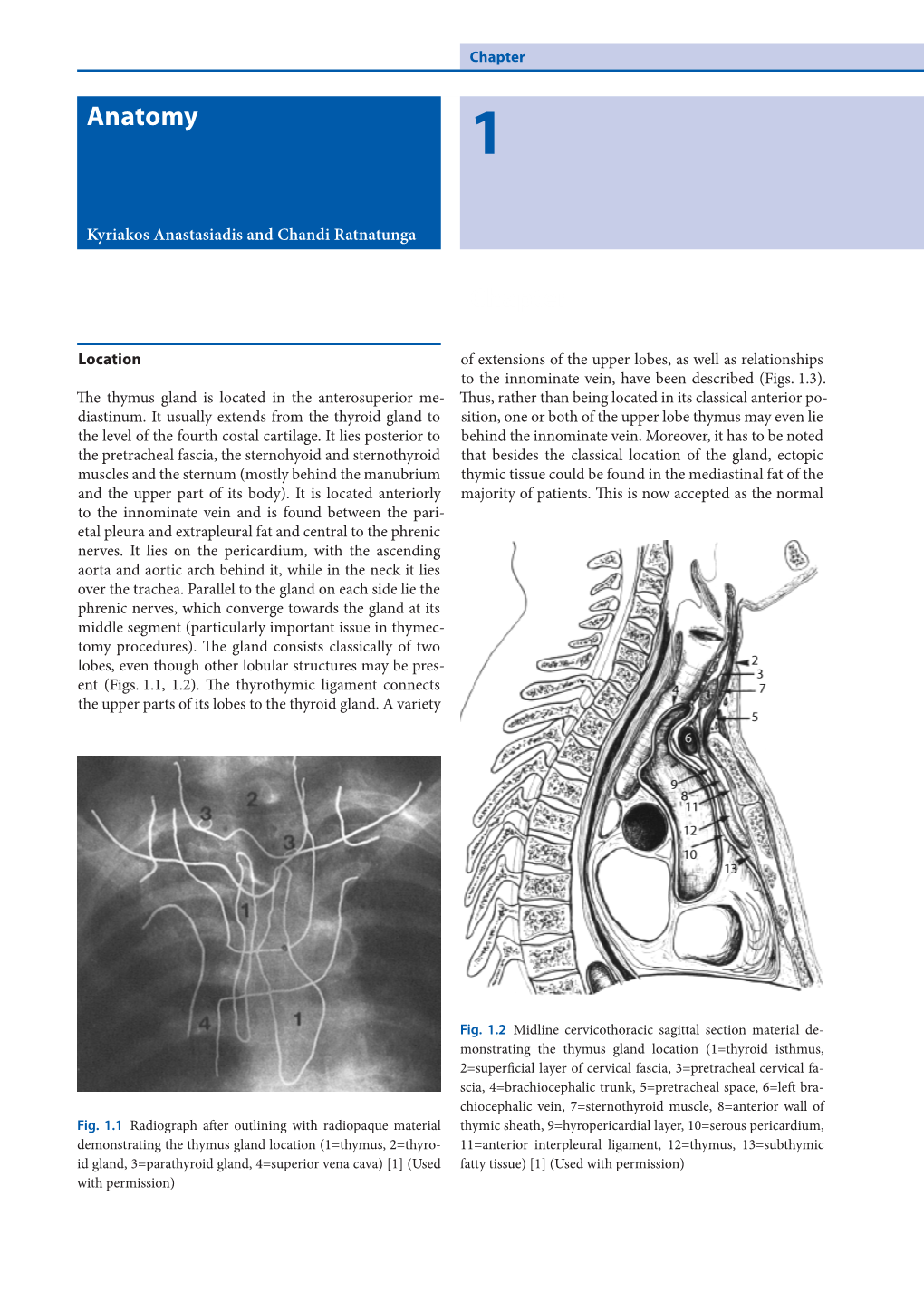 Chapter Anatomy