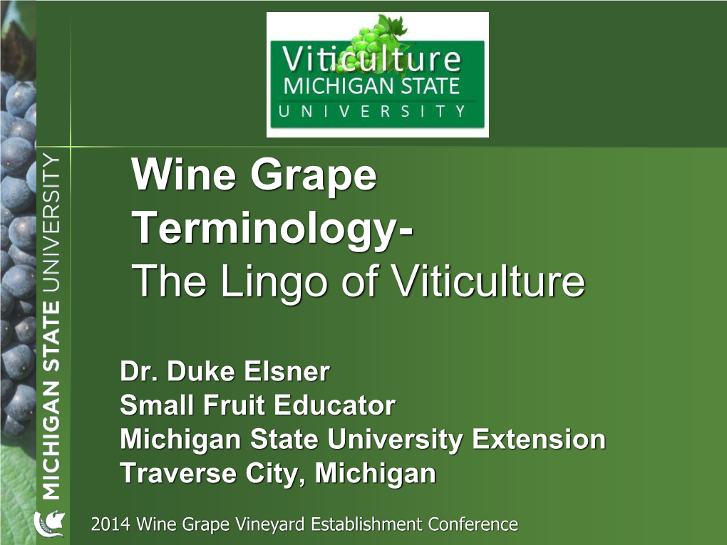 Wine Grape Terminology- the Lingo of Viticulture