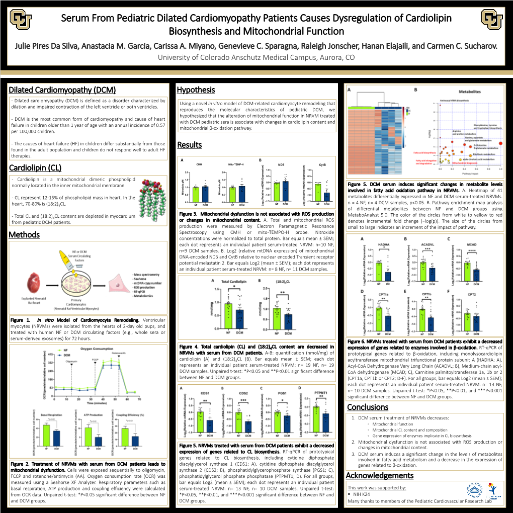 Serum from Pediatric Dilated Cardiomyopathy Patients Causes Dysregulation of Cardiolipin Biosynthesis and Mitochondrial Function Julie Pires Da Silva, Anastacia M