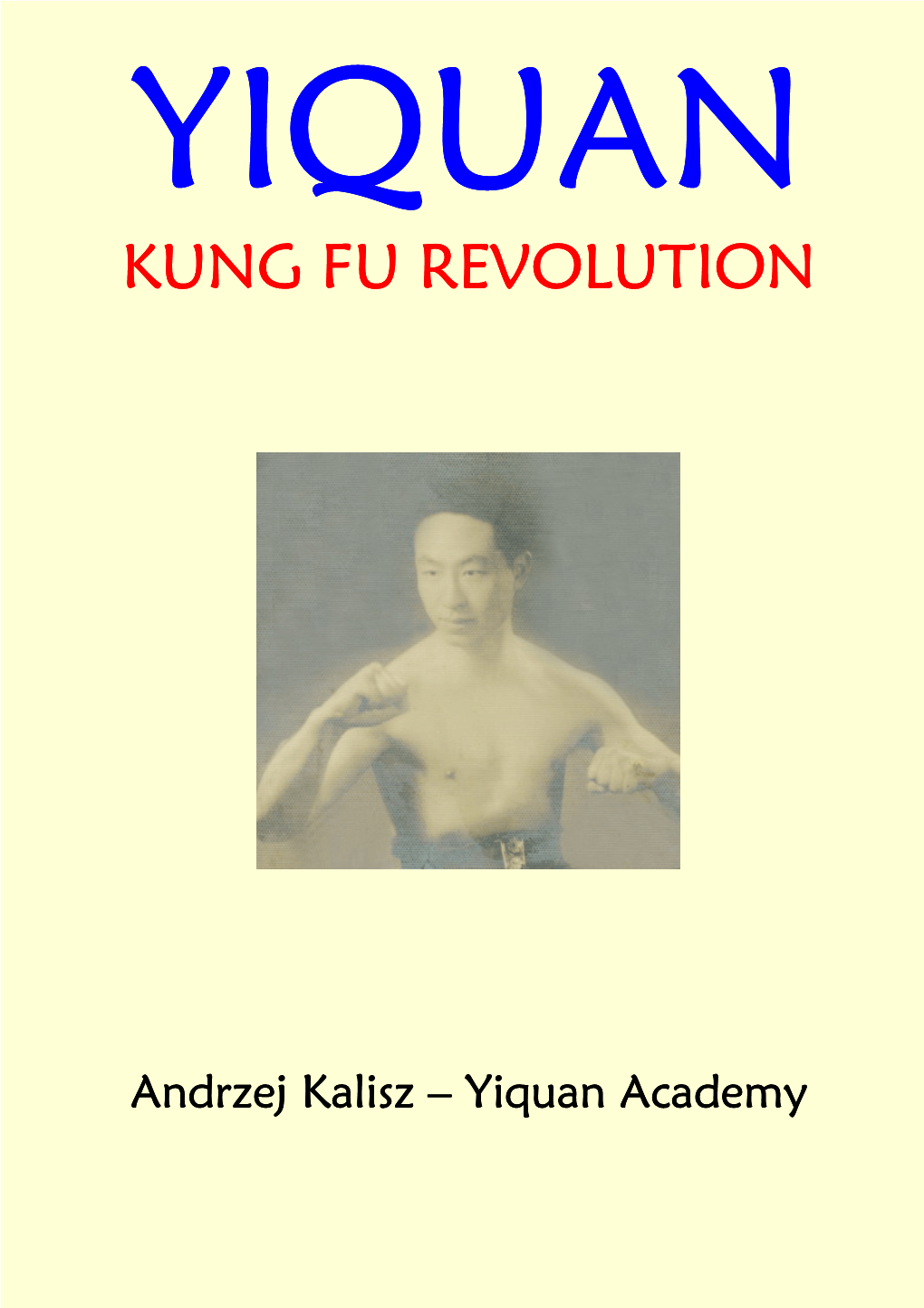 Yiquan Kung Fu Revolution