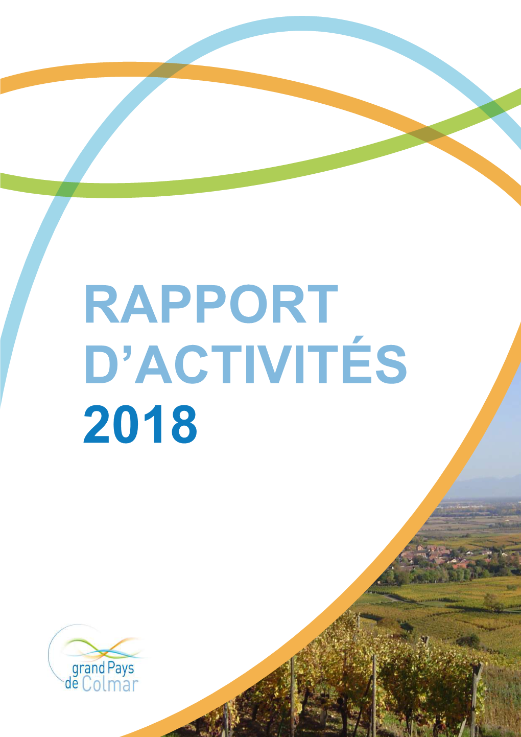 Rapport D'activités 2018