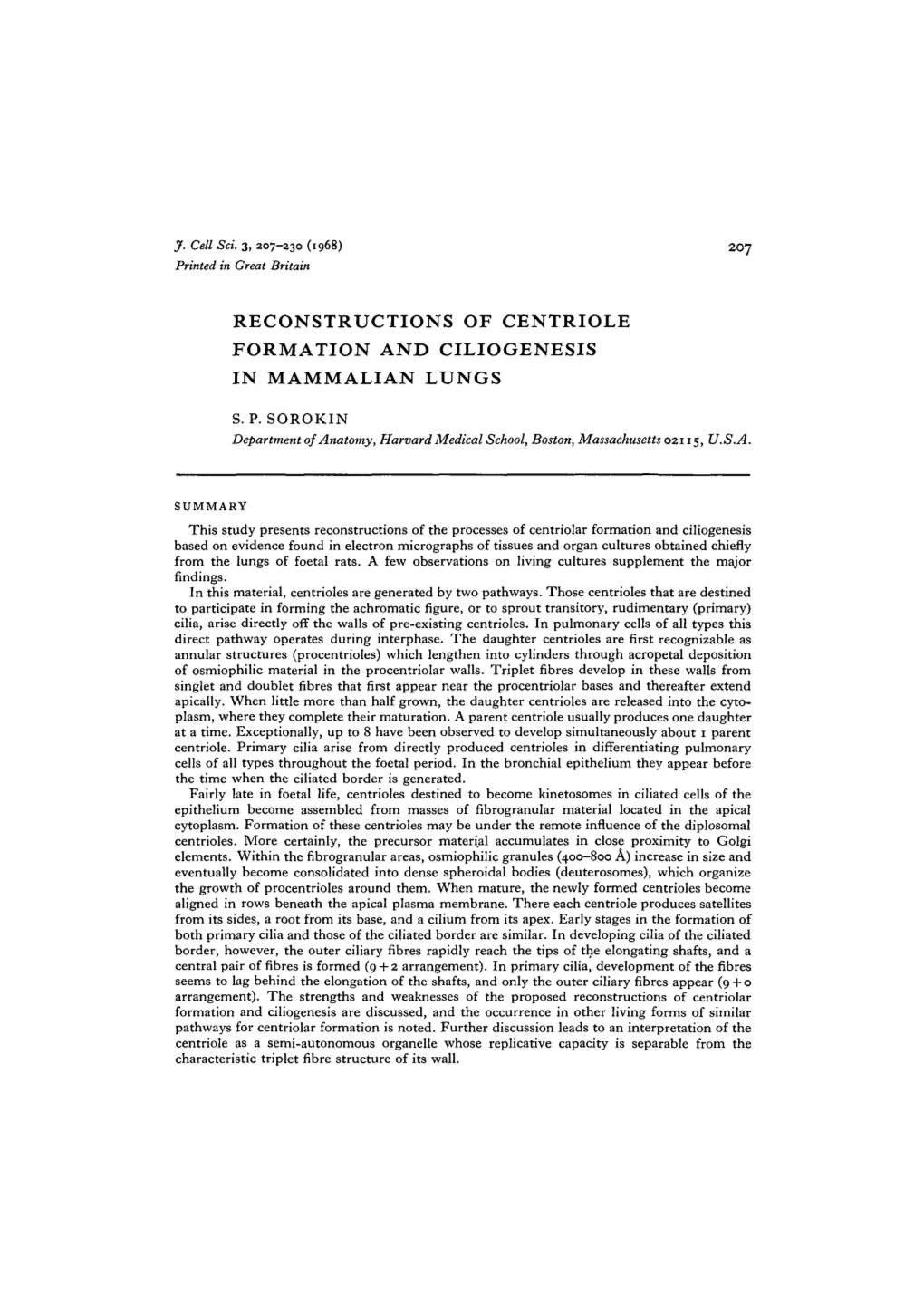 Reconstructions of Centriole Formation and Ciliogenesis in Mammalian Lungs