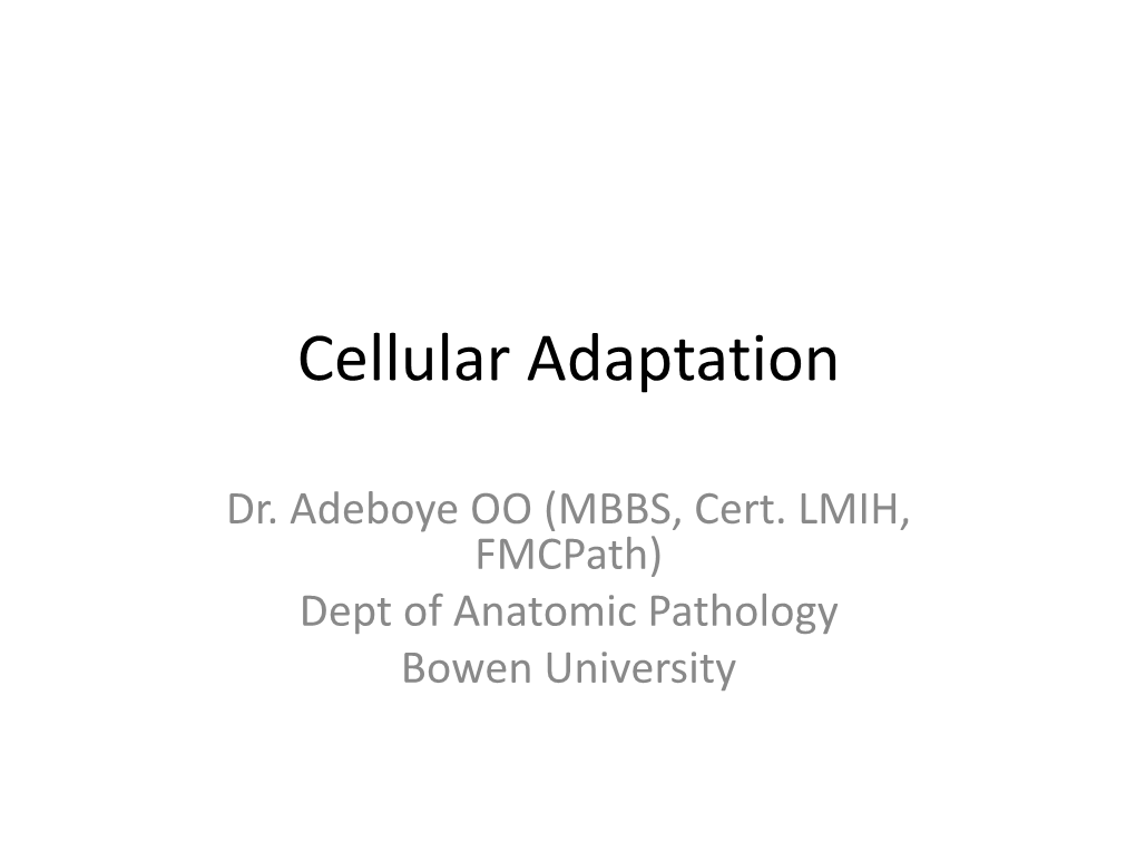 Cellular Adaptation