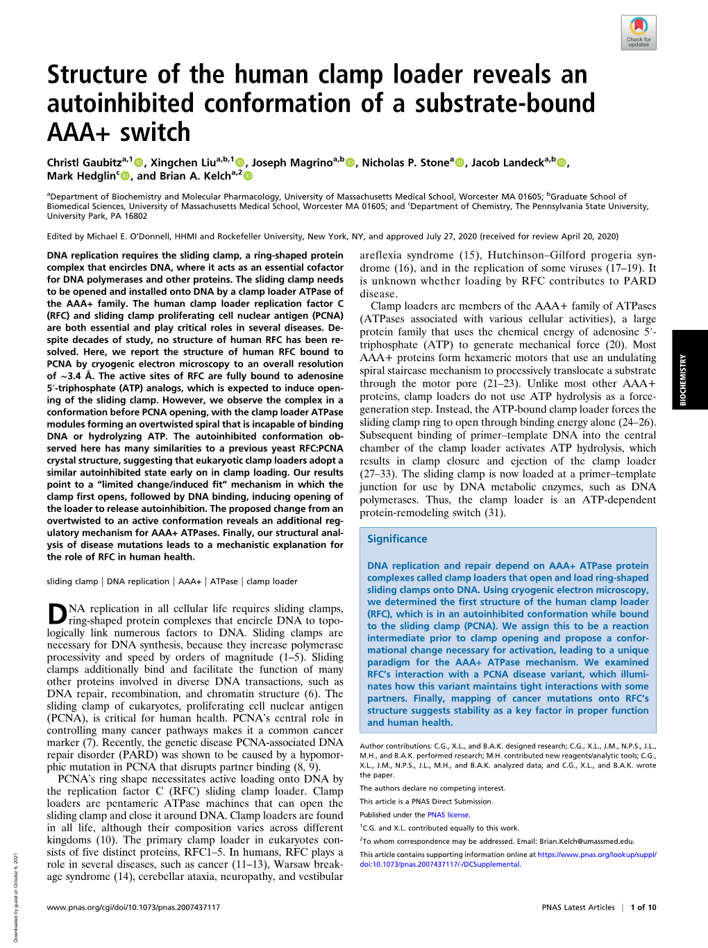 Structure of the Human Clamp Loader Reveals an Autoinhibited Conformation of a Substrate-Bound AAA+ Switch