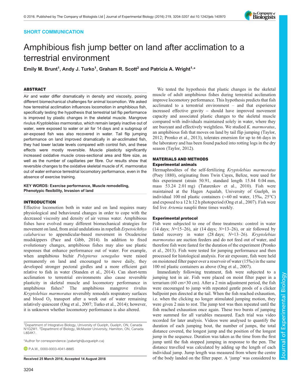 Amphibious Fish Jump Better on Land After Acclimation to a Terrestrial Environment Emily M