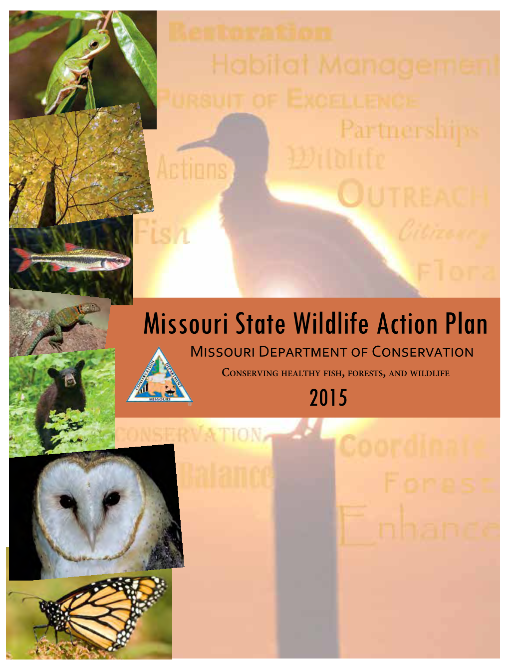 Missouri State Wildlife Action Plan Missouri Department of Conservation Conserving Healthy Fish, Forests, and Wildlife 2015
