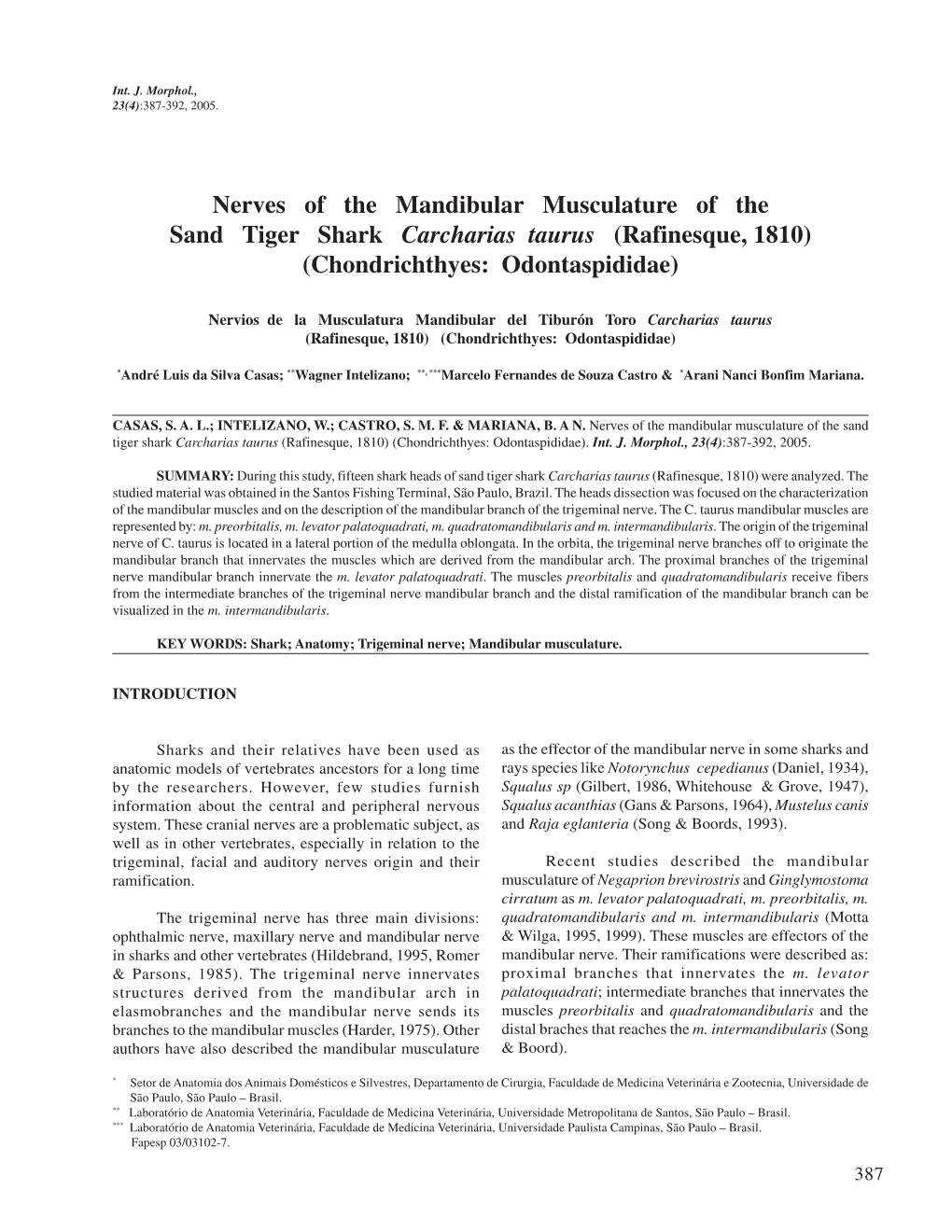 Nerves of the Mandibular Musculature of the Sand Tiger Shark Carcharias Taurus (Rafinesque, 1810) (Chondrichthyes: Odontaspididae)