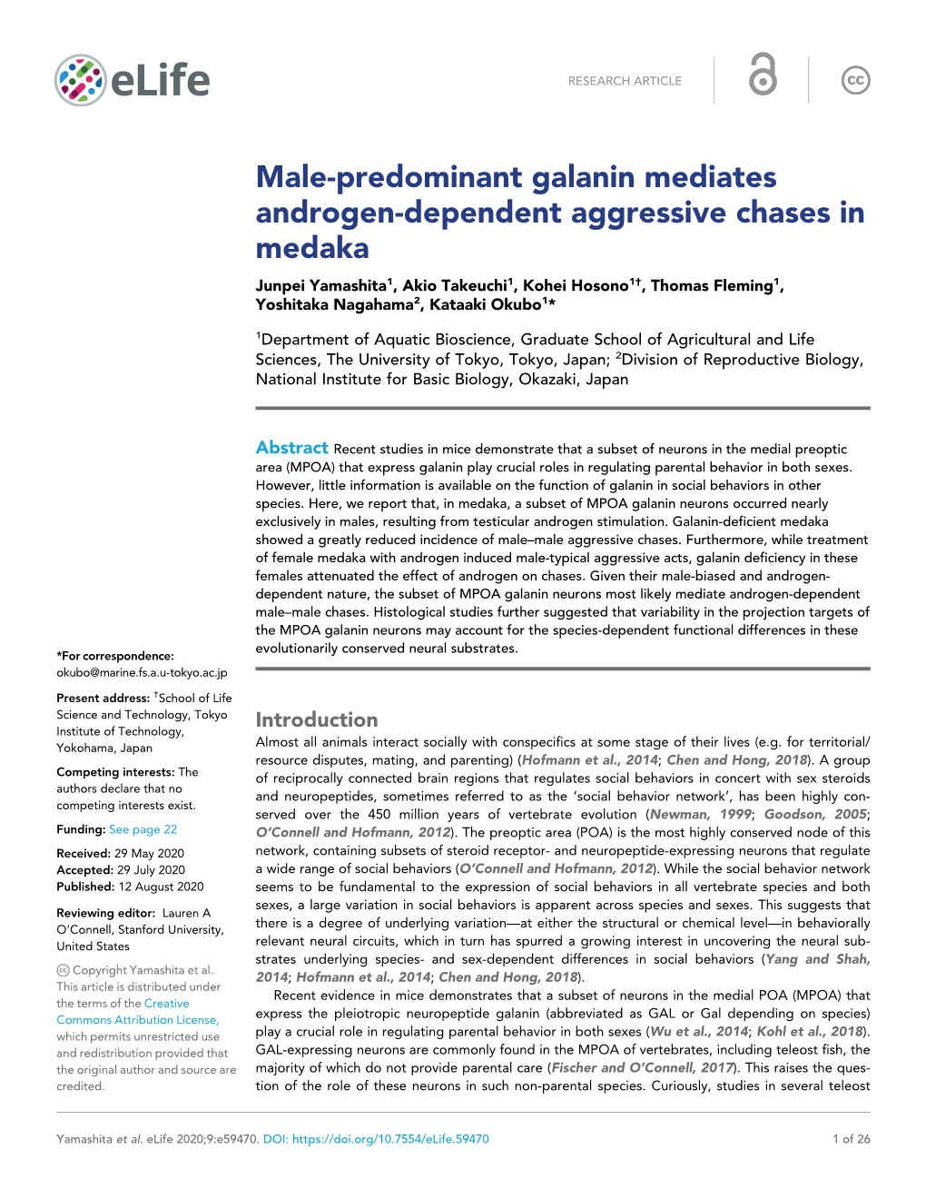 Male-Predominant Galanin Mediates Androgen-Dependent Aggressive