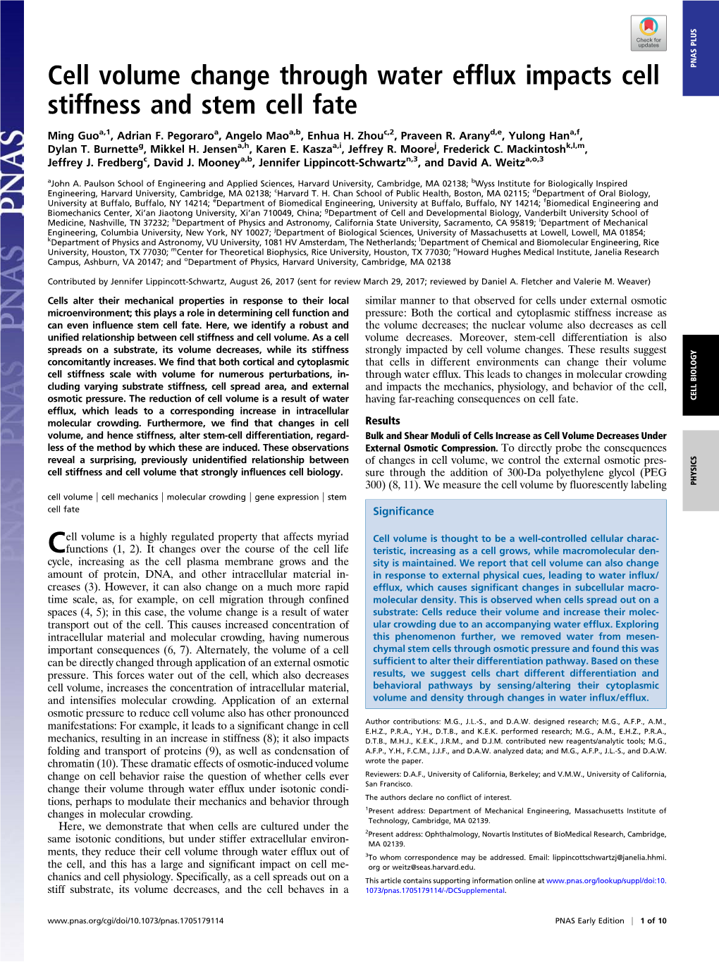 Cell Volume Change Through Water Efflux Impacts Cell Stiffness And