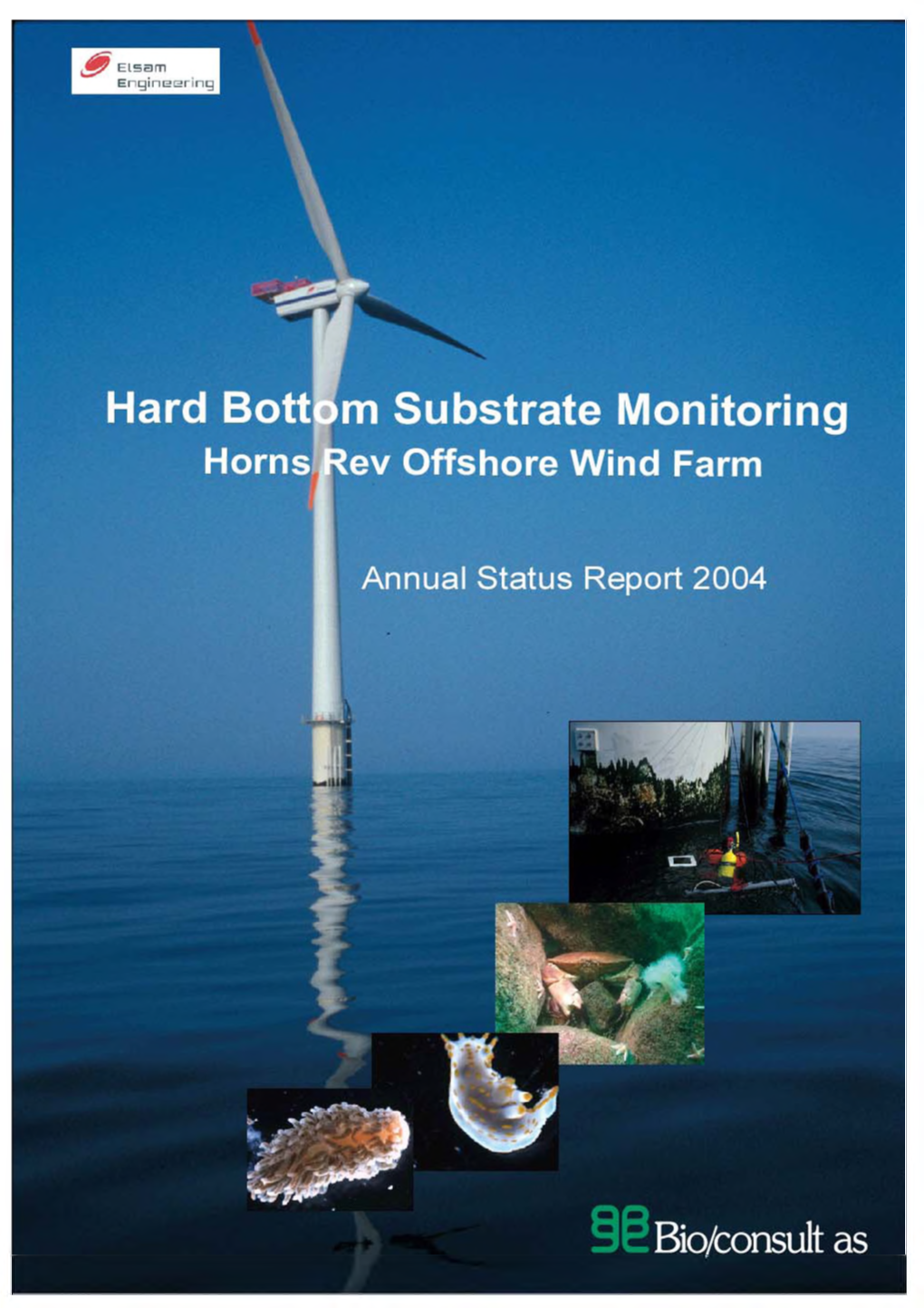 Hard Bottom Substrate Monitoring Horns Rev Offshore Wind Farm